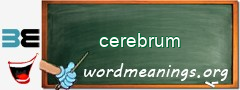 WordMeaning blackboard for cerebrum